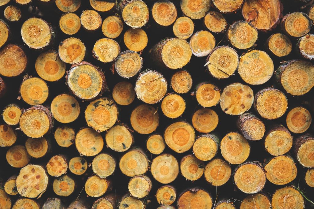 stack of tree logs