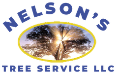 nelson's tree logo small