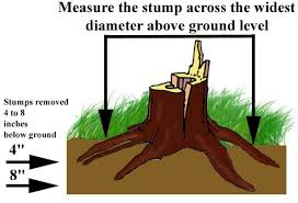 tree stump diagram